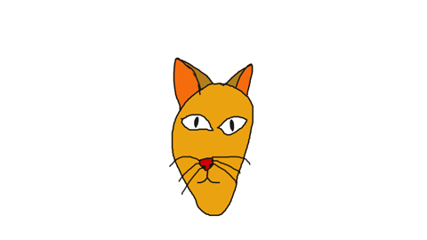 лицо кота